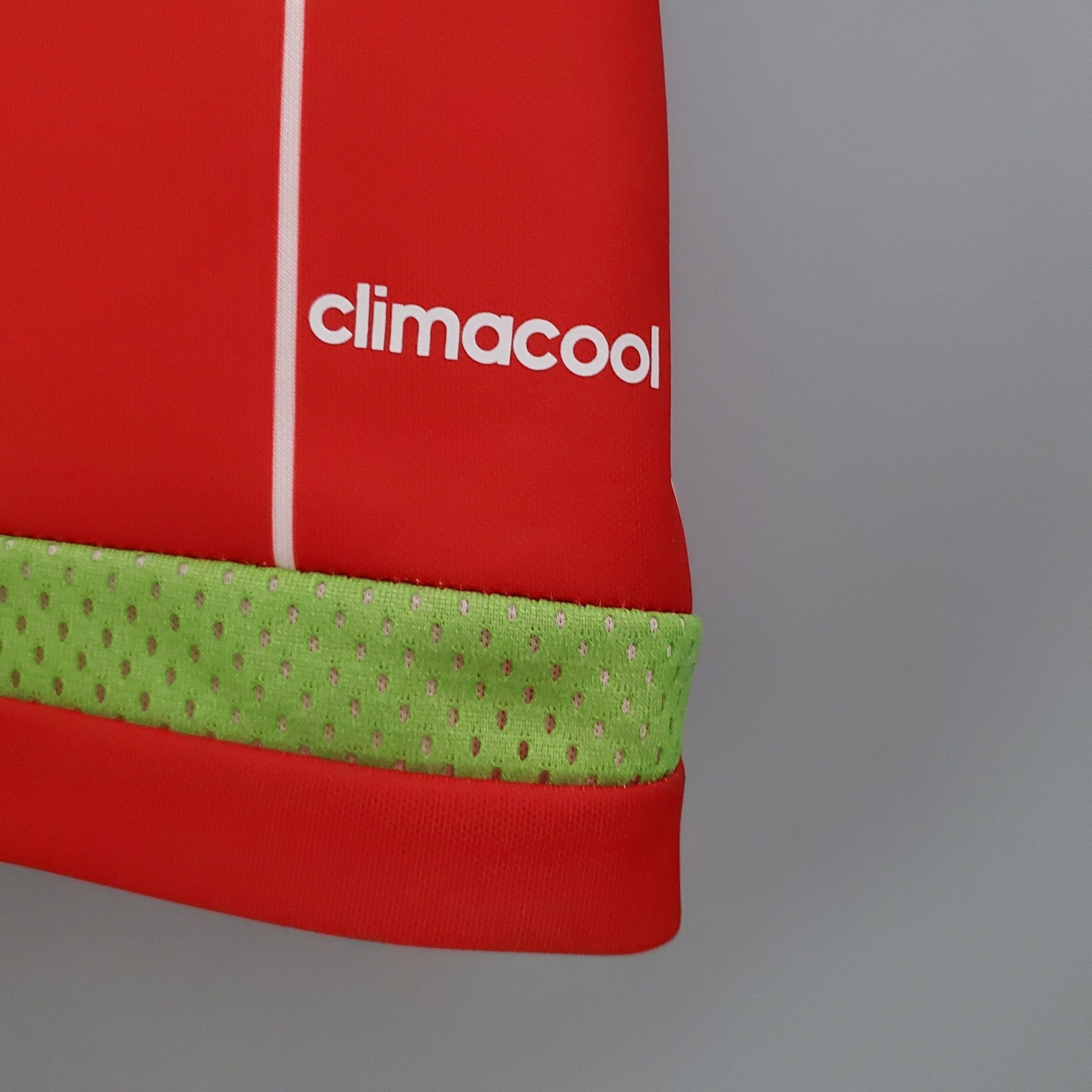 PAÍS DE GALES 2015 HOMBRE (RETRO) - Bota de Oro Tienda