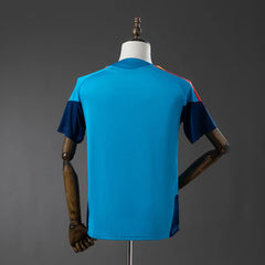 Camiseta de entrenamiento de España 2026 azul celeste - vista trasera