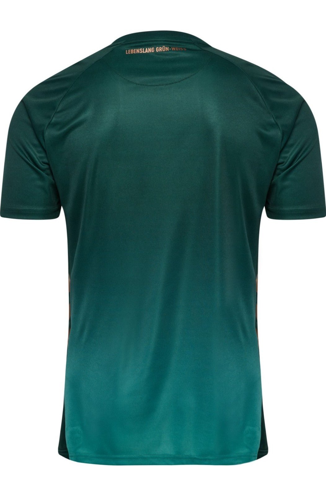 CAMISETA WERDER BREMEN TERCERA EQUIPACION 25/26 HOMBRE - Bota de Oro Tienda