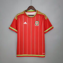 PAÍS DE GALES 2015 HOMBRE (RETRO)
